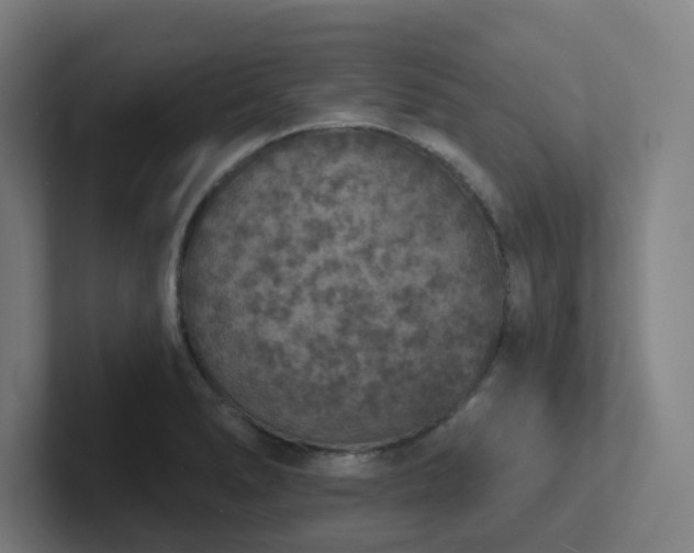 X0000102771278200808181122