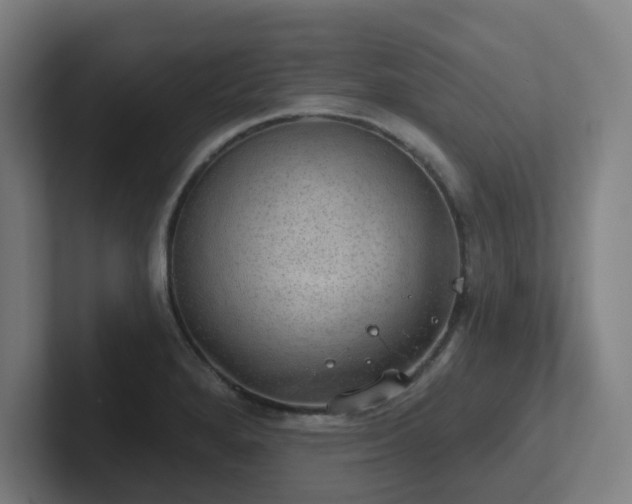 X0000102771280200808181122