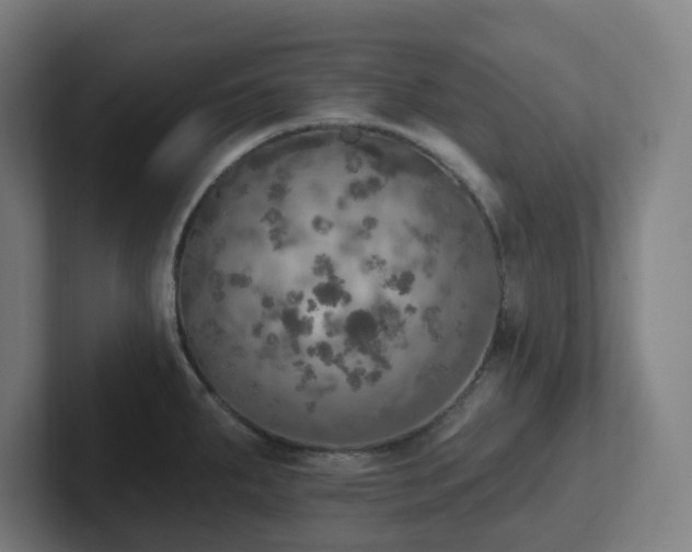 X0000102771287200808181122