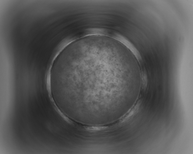 X0000102771290200808181122