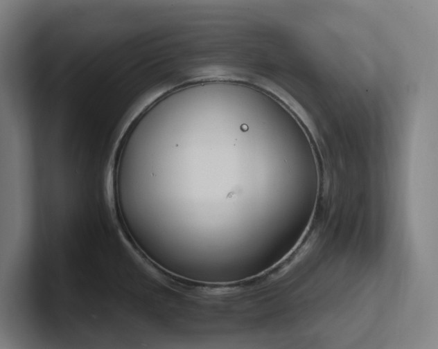 X0000102771293200808181122
