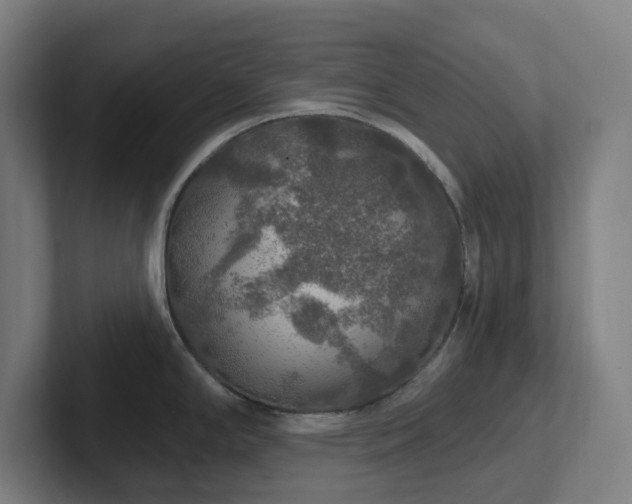 X0000102771294200808181122