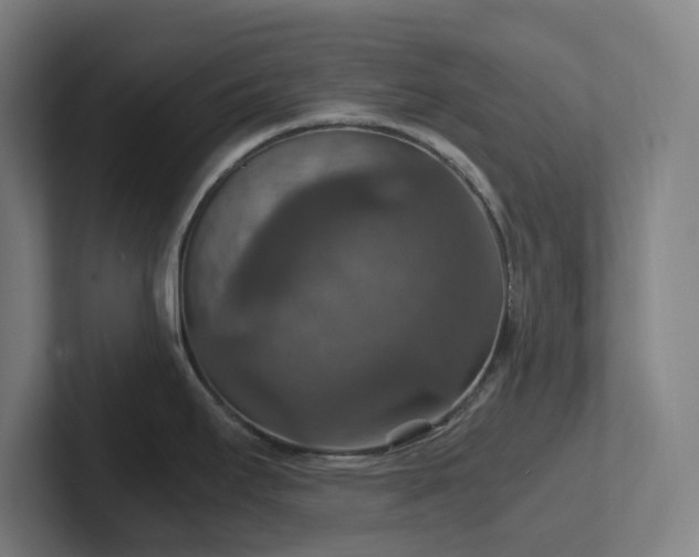 X0000102771295200808181122