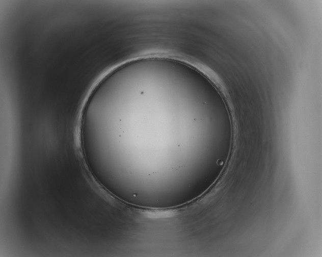 X0000102771296200808181122