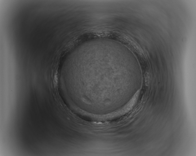 X0000102771298200808181121
