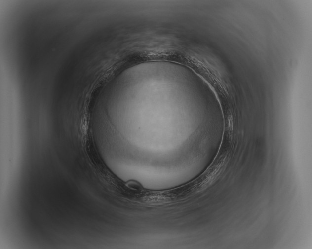 X0000102771300200808181121