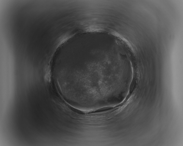 X0000102771306200808181121