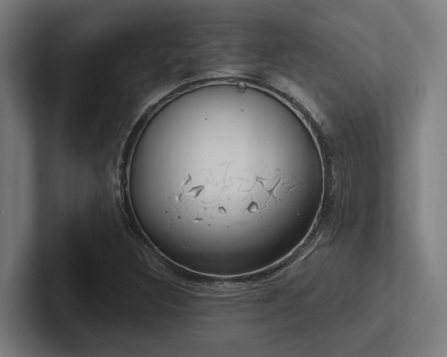 X0000102771308200808181121