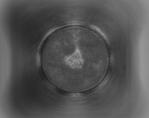 X0000102771310200808181121