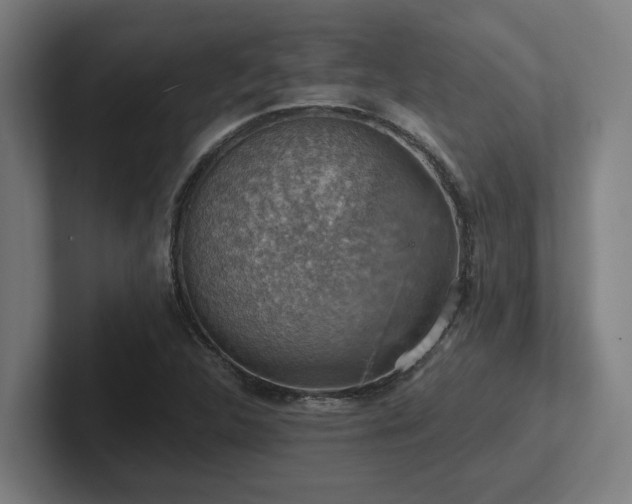 X0000102771312200808181121