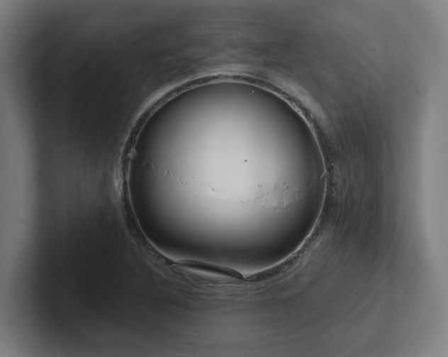 X0000102771316200808181121