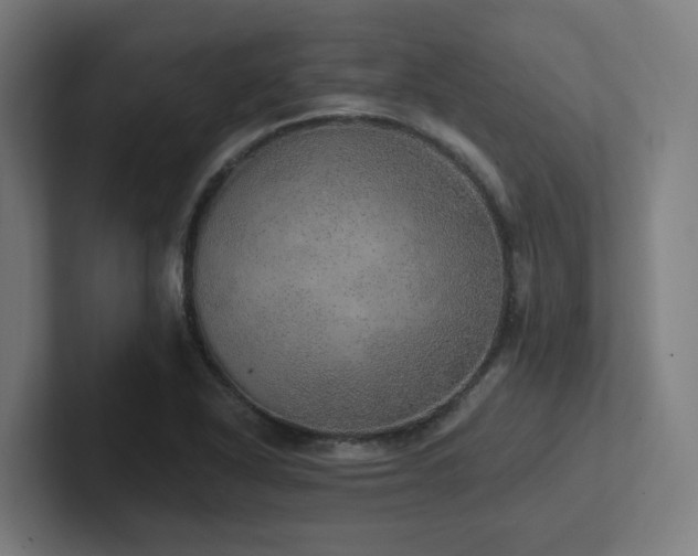 X0000102771318200808181121