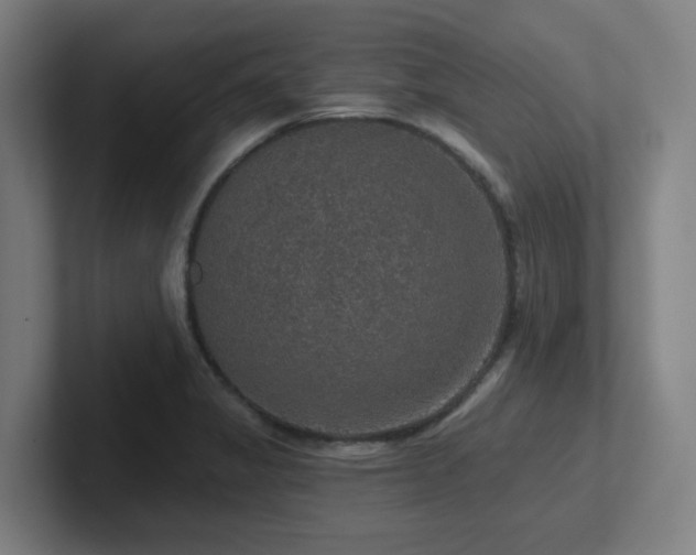 X0000102771325200808181121