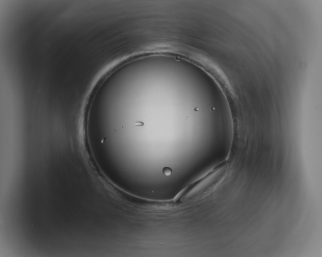 X0000102771328200808181121