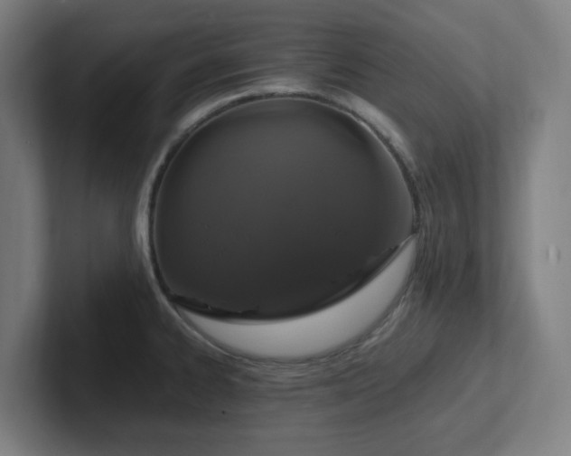 X0000102771334200808181121