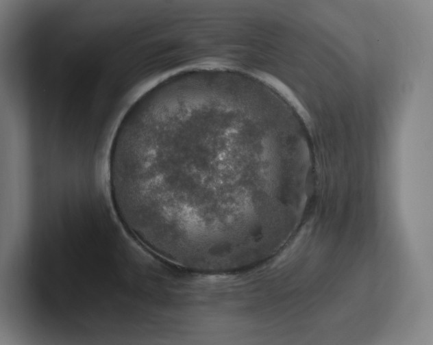 X0000102771335200808181121