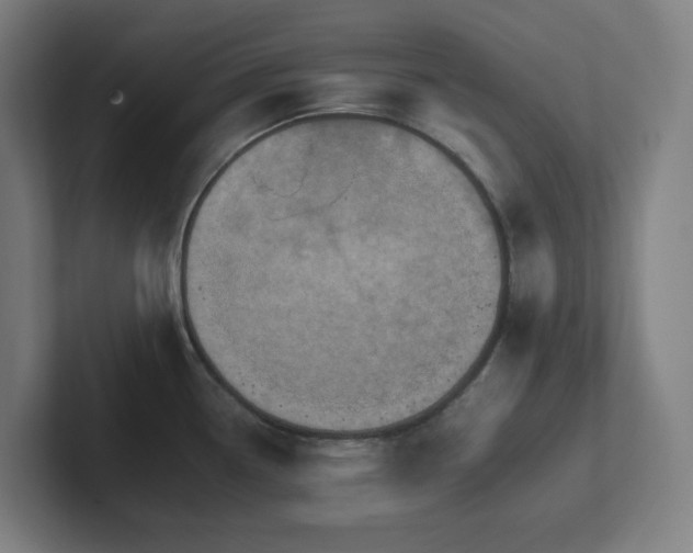 X0000102771338200808181121