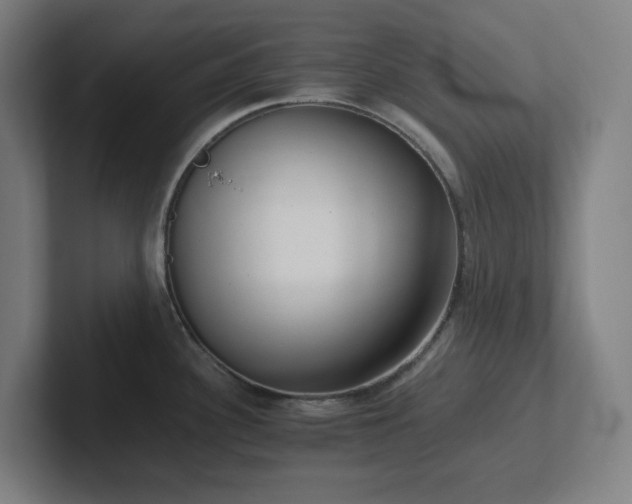 X0000102771340200808181121