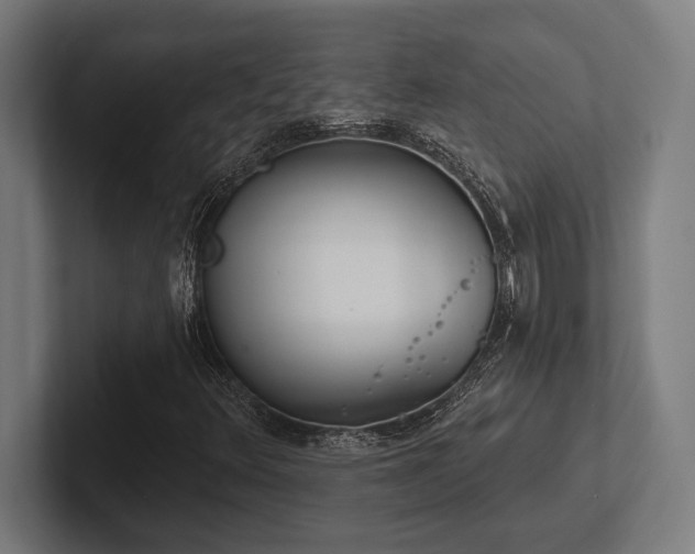 X0000102771348200808181121