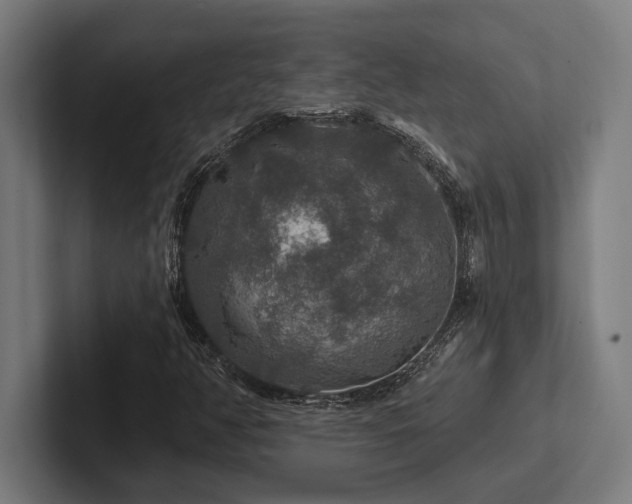 X0000102771350200808181121