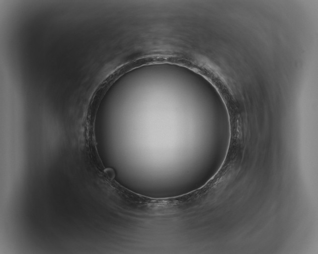 X0000102771352200808181121