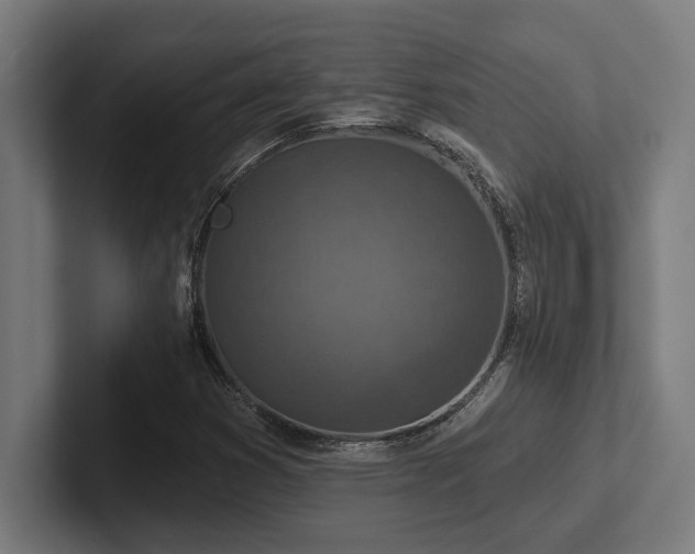 X0000102771353200808181121