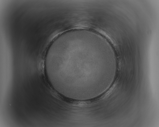 X0000102771355200808181121