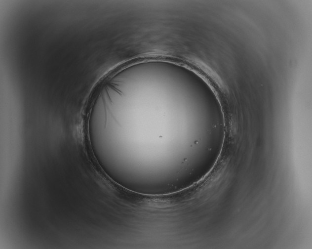 X0000102771356200808181121