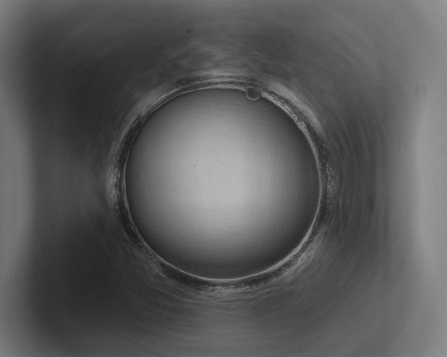X0000102771357200808181121