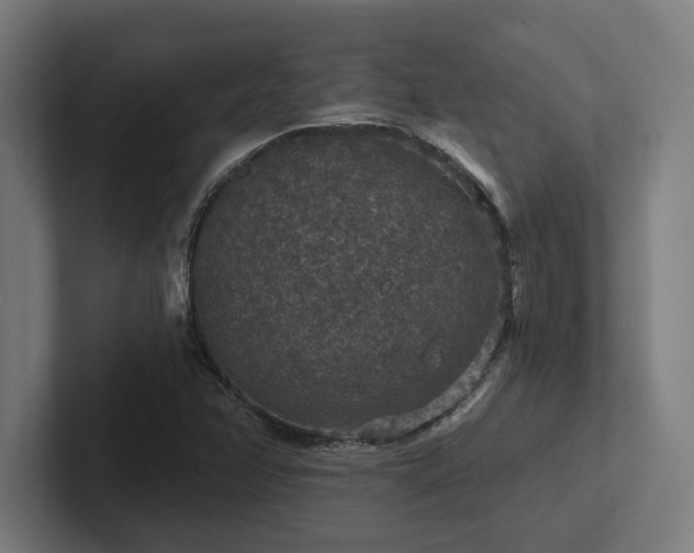 X0000102771358200808181121