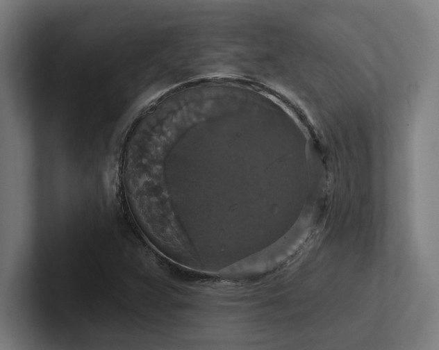X0000102771359200808181121