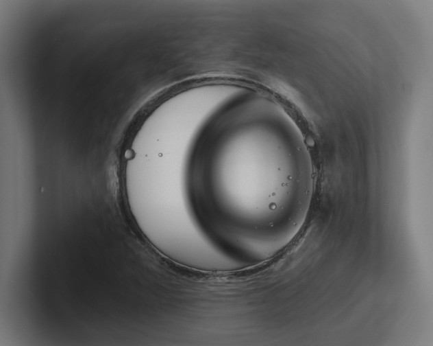 X0000102771360200808181121