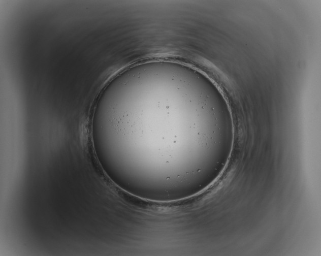 X0000102771361200808181121
