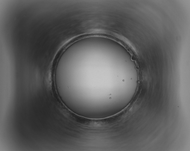 X0000102771364200808181121