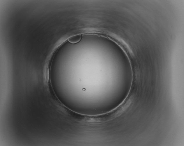 X0000102771365200808181121