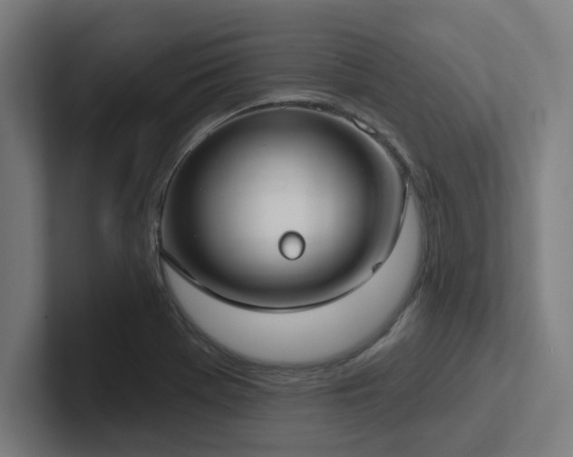 X0000102771369200808181121