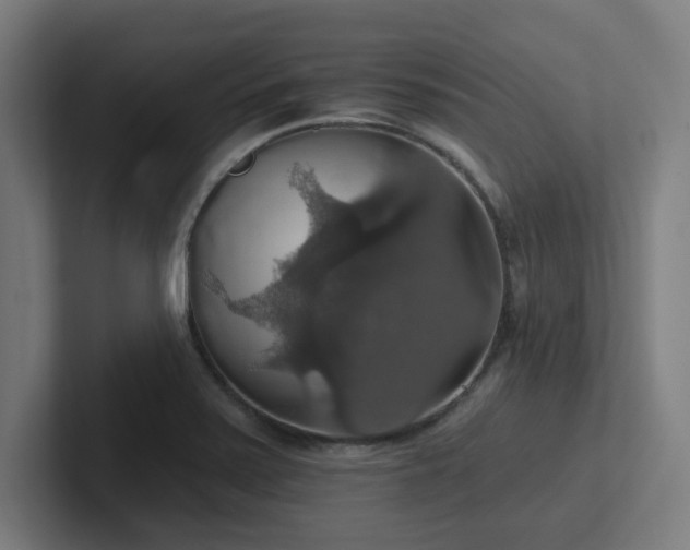 X0000102771371200808181121