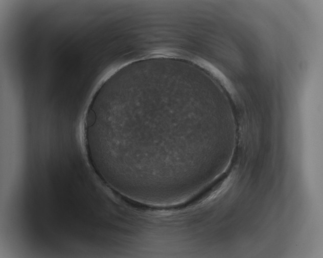 X0000102771373200808181120