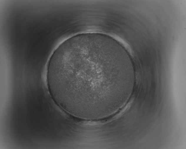 X0000102771374200808181120