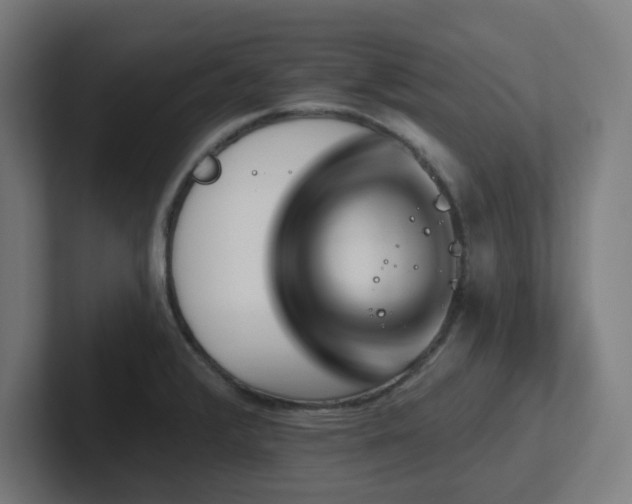X0000102771376200808181120