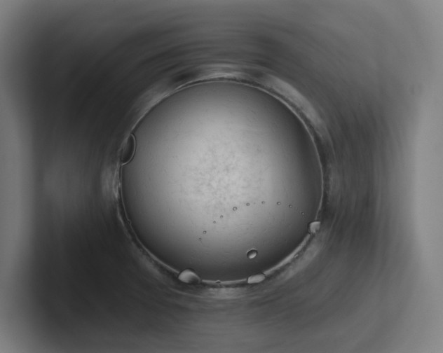 X0000102771377200808181120
