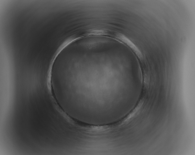X0000102771378200808181120