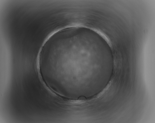 X0000102771382200808181120