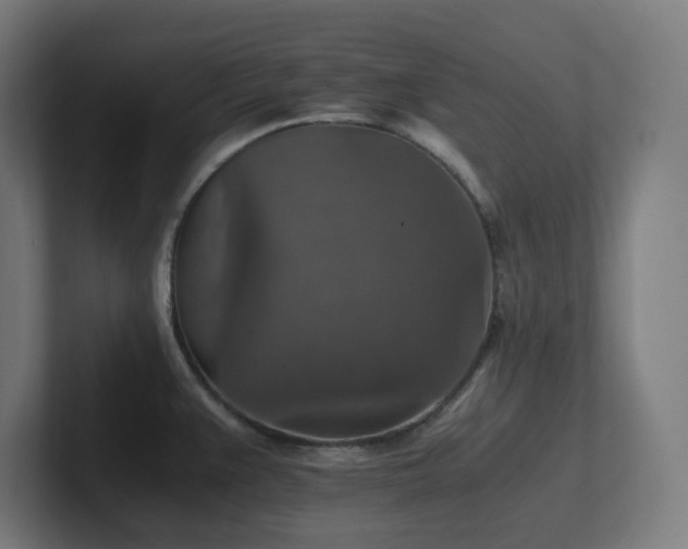X0000102771383200808181120