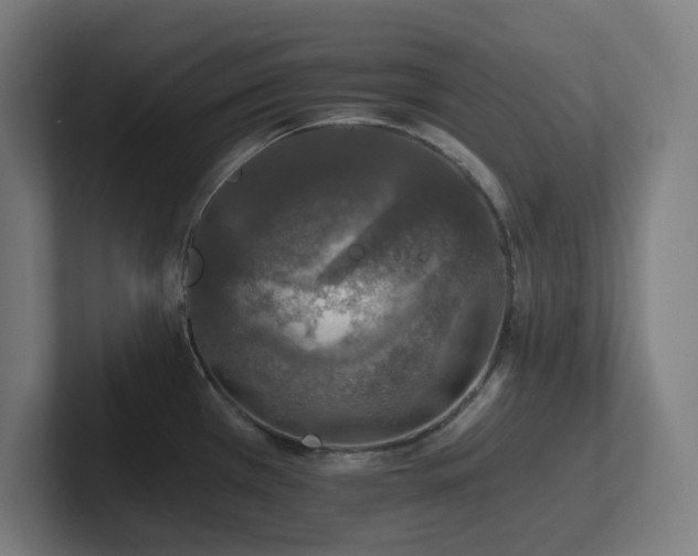 X0000102771385200808181120
