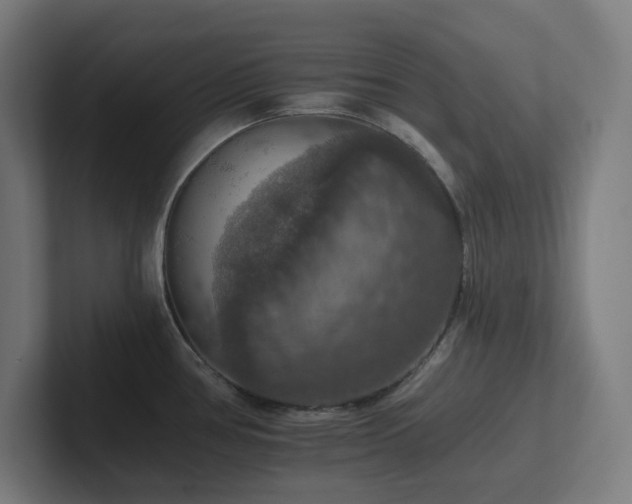 X0000102771386200808181120