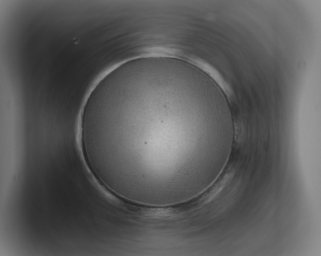 X0000102771387200808181120