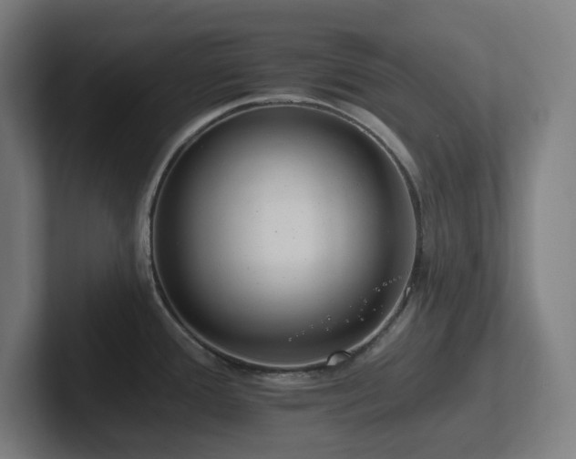 X0000102771388200808181120