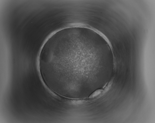 X0000102771389200808181120