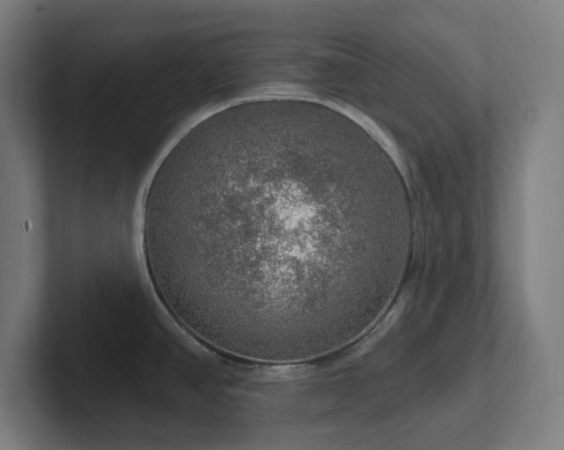 X0000102771390200808181120